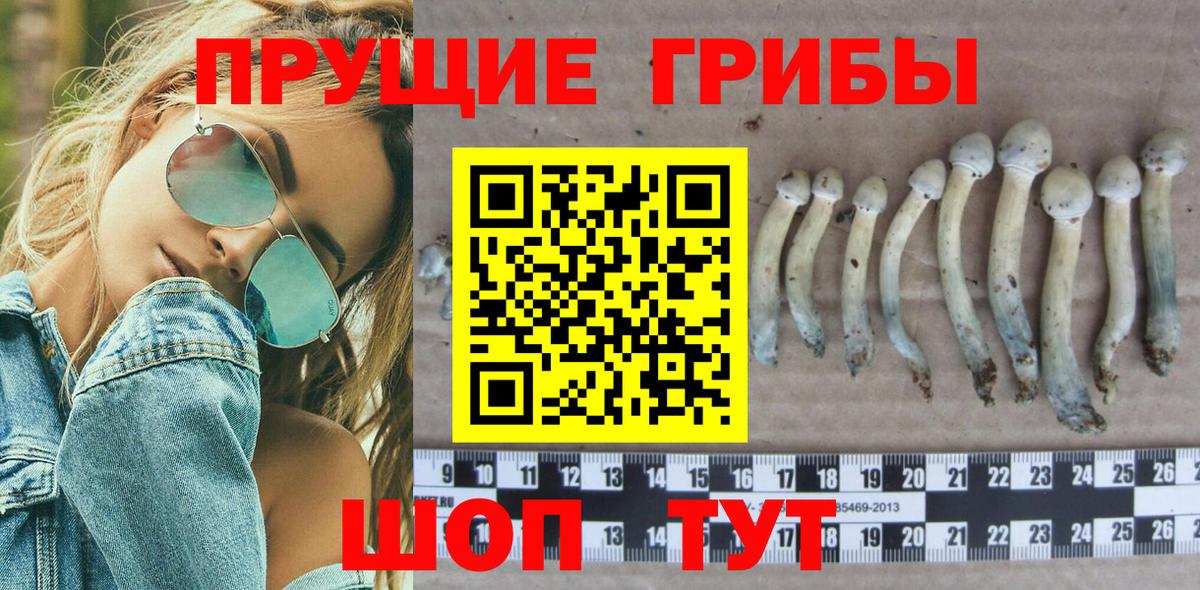 Галлюциногенные грибы Magic Shrooms  Вход с VPN  Псилоцибиновые грибы Magic Shrooms  Калуга 