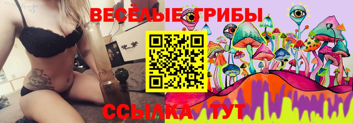 Псилоцибиновые грибы Psilocybe Калуга